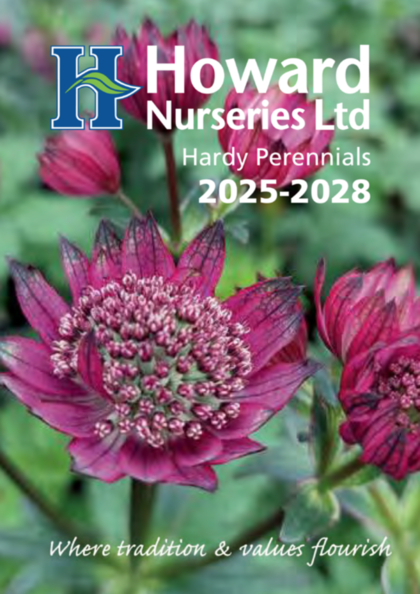 View our new brochure online!