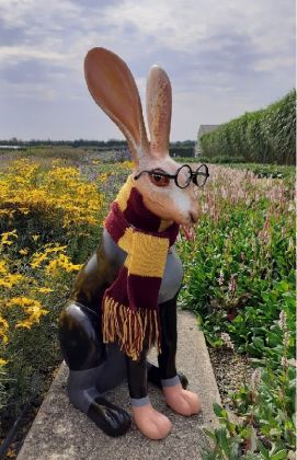 Harey Potter