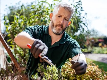 Networking event for solo workers in horticulture