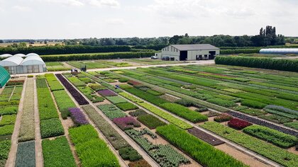 Solar energy review for 2025