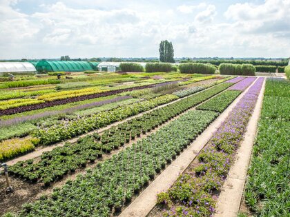 What our customers say about us… A look back at 2025!